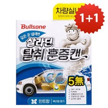 1+1 불스원 살라딘 차량실내용 탈취 훈증캔-민트향, 2개