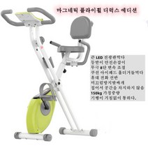 폰레타 실내자전거 이고진실내자전거 뮤트 마그네틱 폴딩, 초록, 마그네트론+ 등받이