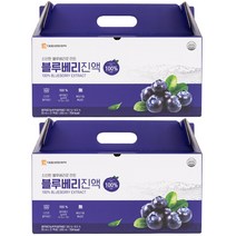 대웅생명과학 블루베리진액 80ml 21팩, 2개
