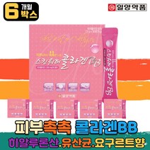 프락토 올리고당 유산균 저분자 피시 콜라겐 펩타이드 BB 스테비올배당체 칼리플라워 농축액 히알루론산 히알루산 프리바이오틱스 유익균 유상균 락토바실러스 플란타럼 수험생 남자 여자 부모님 직장인 홈쇼핑 TV collagen