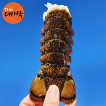랍스터 테일 꼬리살 바닷가재 버터구이, 1box, 랍스터테일 5마리