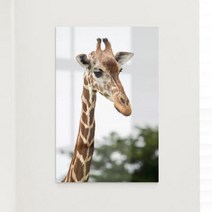 아트박스/꾸밈 ih807-아크릴액자_기린아트, 3.기린아트-오물오물