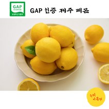 구씨아줌마 산지직송 당일수확 제주레몬 GAP인증 레몬 3kg 5kg 친환경 레몬청 레몬에이드, 제주 레몬 5kg