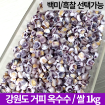 국내산 강원도 홍천 거피 껍질깐 껍질벗긴 옥수수 알갱이 쌀 범벅 말린 미백 흑찰 찰옥수수 1kg, 말린옥수수 1kg (미백)