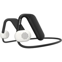 소니 무선 이어폰 Float Run 오픈 이어형오프이어 디자인 WI-OE610 블랙, 단품, 화이트