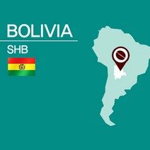 볼리비아 SHB 원두커피 200g(SROC260FC0200A01) 당일로스팅, 단품, 추가구성:05.곱게분쇄/가정용에스프레소/모카포트(M)