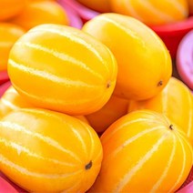 달달한 과즙 꿀가득 참외 10kg 아삭아삭 달콤함