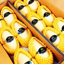 항공직수입 고당도 프리미엄 무지개망고 골드망고 산지직송 2kg 3kg 5kg(12과~14과 내외) 대과 특대과, 골드망고 5kg(12~14과내외)