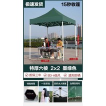 접이식 주차천막 천막 이동식창고 자동차 방수 가정용 텐트, 키높이 자동선반2*2잉크그린