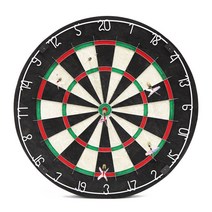 CHAMPION 챔피온 원목다트 벽걸이 대형 시합용 실내놀이 다트핀포함