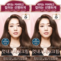 려 우아채 멋내기 새치크림 염색약 120g 1+1 흰머리염색 부분염색 뿌리염색, 5N 자연갈색, 2개