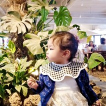 BayKids 무형광 미디엄 롤링, 1) 미디엄 롤링턱받이 곰 베이지