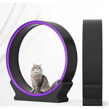 고양이 캣휠 무소음 바퀴 베어링 장난감 실내 캣워크, 원목아이보리M (권장6-10파운드)조립식