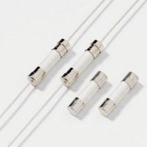 S501-100-R [F100mA 20mm250Vac Fast-Acting속단형FUSE휴즈퓨즈세라믹Eaton], 10개정품