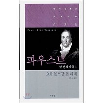 파우스트 한 편의 비극 1, 책세상, 요한 볼프강 폰 괴테 저/김수용 역