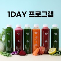 헬시파파 클렌즈주스 1day 프로그램 500ml 6병 cleanse juice program, 1day 클렌즈주스 프로그램