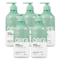 더마앤모어 세라마이드 두피 딥 클렌징 샴푸 지성 두피용 x 5개