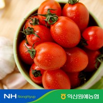 [익산원예농협] 익산 탑마루 대추방울토마토 2kg(1kgX2팩) 4번 소과, 2kg, 2개