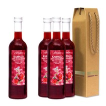 [FINLANDIA] [10%쿠폰] 핀란드 그린핀스 크랜베리 원액 주스 500ml 4병, 4개, 상세 설명 참조