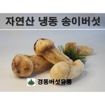 자연산 냉동 송이버섯 1KG / 경동버섯유통, PM