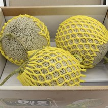 순수농장 고당도 머스크 멜론 메론 추석 명절 과일 선물 세트, 실속 중과8kg