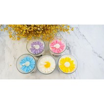 데이지 플라워 소이캔들(컨테이너캔들/자캔들)7온스-허니스캔들, 블루, 샤인머스캣