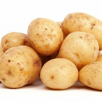 2020햇감자 농산물직거래 맛좋은 햇감자 특 5kg 10kg, 1박스, 특대) 10kg