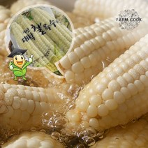 [팜쿡]괴산 삶은 대학찰옥수수 냉동 18개(팩당3개), 단품