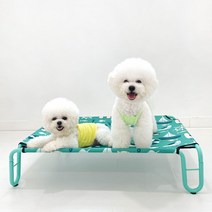 강아지 고양이 슬립 스탠드 해먹 여름 침대 쿨매트 중형견 대형견, 그린