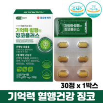 은행잎추출물 징코 아연 비타민b 플라보노이드 플라보놀배당체 혈행개선 기억력개선 도움, 1개