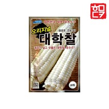 오리지널 대학찰 옥수수 씨앗 80립, 얼룩대학찰 옥수수 80립