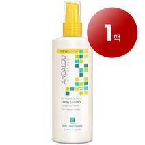 Andalou Naturals 안달로우네추럴 모발 두피관리 미디엄 홀드 선플라워 시트러스 헤어 스프레이 243ml 1팩