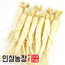 더굿진생 금산인삼 수삼 세척 원수삼 실속형, 1개, 세척인삼300g(9~12뿌리)