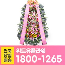 위드유플라워 축하화환 전국당일배송 축하 특대 3단 화환 C015