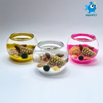 마리모 키우기 유리원형볼 8cm A형 DIY키트 세트 테라리움, 흑색