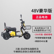 세발 전기 자전거 전동 팻 바이크 삼륜 미니 로드 2인용 배달용 쉘위 배달 성인용, 48V, 1개