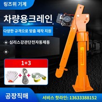 크레인호이스트 차량 탑재 크레인 12v24 볼트 220v 가정용 1 톤 차량 크레인 소형 크레인 트럭 리프팅 리프트, 27.레이크 블루