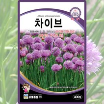 솔림텃밭몰 허브씨앗 차이브씨앗 400립 차이브 챠이브 허브씨, 1개