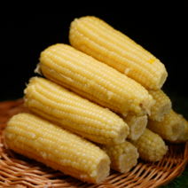 특상 사이즈 홍찰 백찰 옥수수 10개, 백찰 옥수수 (특대 20cm 내외)