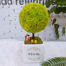 스칸디아모스 천연이끼나무 공기정화 주문제작, 03.빅큐브 꽃 트리-스프링그린