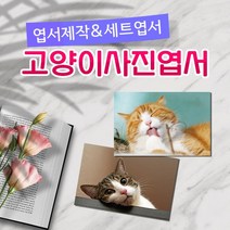 모두카피 AM-05-01 고양이엽서 양단면엽서 opp, 단품엽서10(1종-50장)