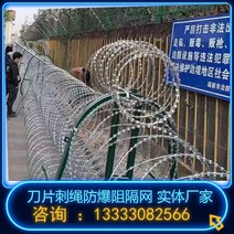 공장직판 윤형 능형 철조망 가시 도난 방지 가시 아연 도금 블레이드 철조망 보호 그물 철조망 롤링 케이지 철조망 철조망 가시 손톱 안티 크롤링 도난 방지의 공장 직접, 맞춤형 연락 고객 서비스