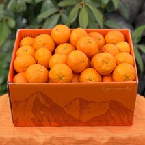 카라향 제주 감귤 귤로향 1kg 2kg 4.5kg, 대과(30-40과), 1개