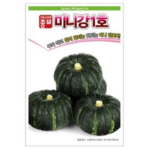미니 단호박씨앗)미니강 호박/100립 S3054