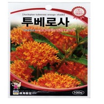 투베로사 씨앗 꽃씨종자(100립) MK300