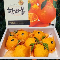 [프레쉬플러스] 제주 한라봉 선물용 대과, 3kg(7~9과)