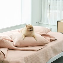 반려동물 알러지케어 나란히 스프레드, 코랄
