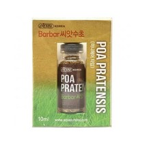 이스타 바바 씨앗수초 (미니 헤어글라스 타입), 1개