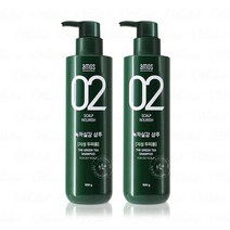 아모스 아모스 녹차실감 샴푸 지성용 500g (산뜻한타입) 1+1