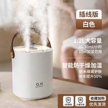 샤오미 스팀청소기 가정용 지능 온열 임부 살균 무소음가습기, T01-아이보리 x 삽선판(나노미터 정음 안개